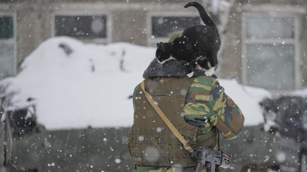V Česku by se mohli léčit zranění ukrajinští vojáci